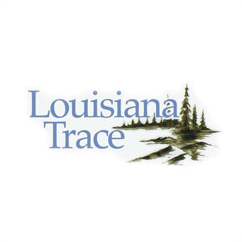 Lot 114 Louisiana Trace Boulevard, Kenner, Louisiana image 1