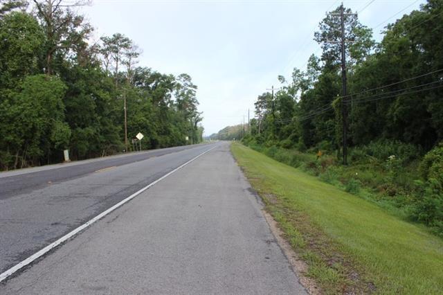 Hwy 190 Road, Albany, Louisiana image 2