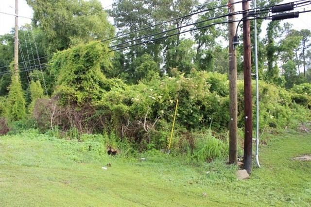 Hwy 190 Road, Albany, Louisiana image 5