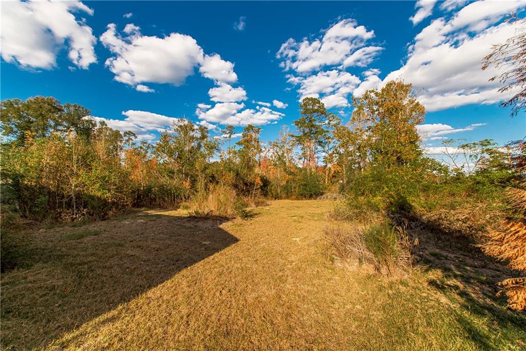 62058 Simpson Lane, Roseland, Louisiana image 35