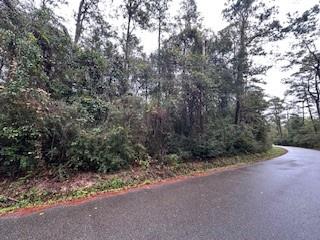 Lot 32 Creole Road, Lacombe, Louisiana image 6