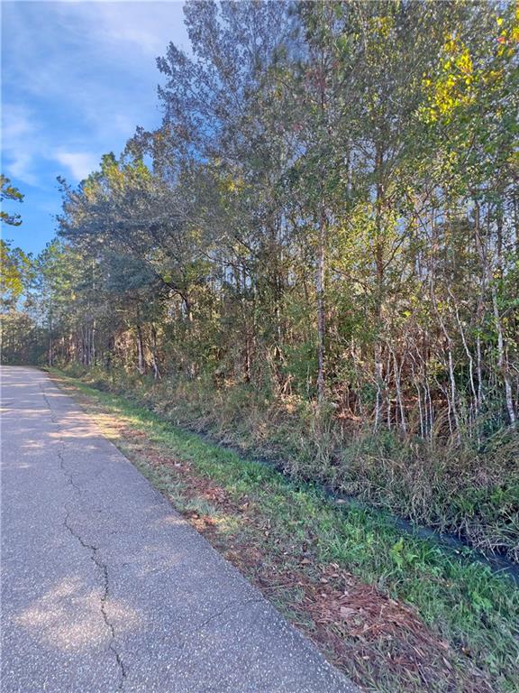 Lot 11 Chapman Drive, Abita Springs, Louisiana image 3