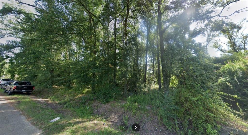 0.517 Acres Sect 25-6-7 S Pine Street, Hammond, Louisiana image 3