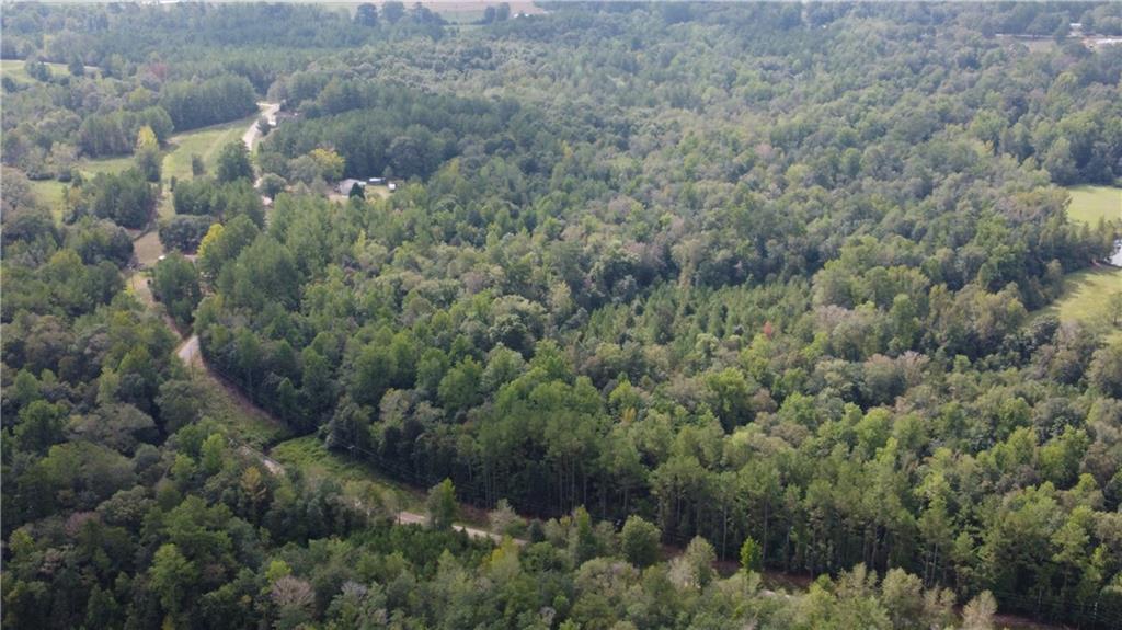 93 Acres Laverne Crain Road, Angie, Louisiana image 3