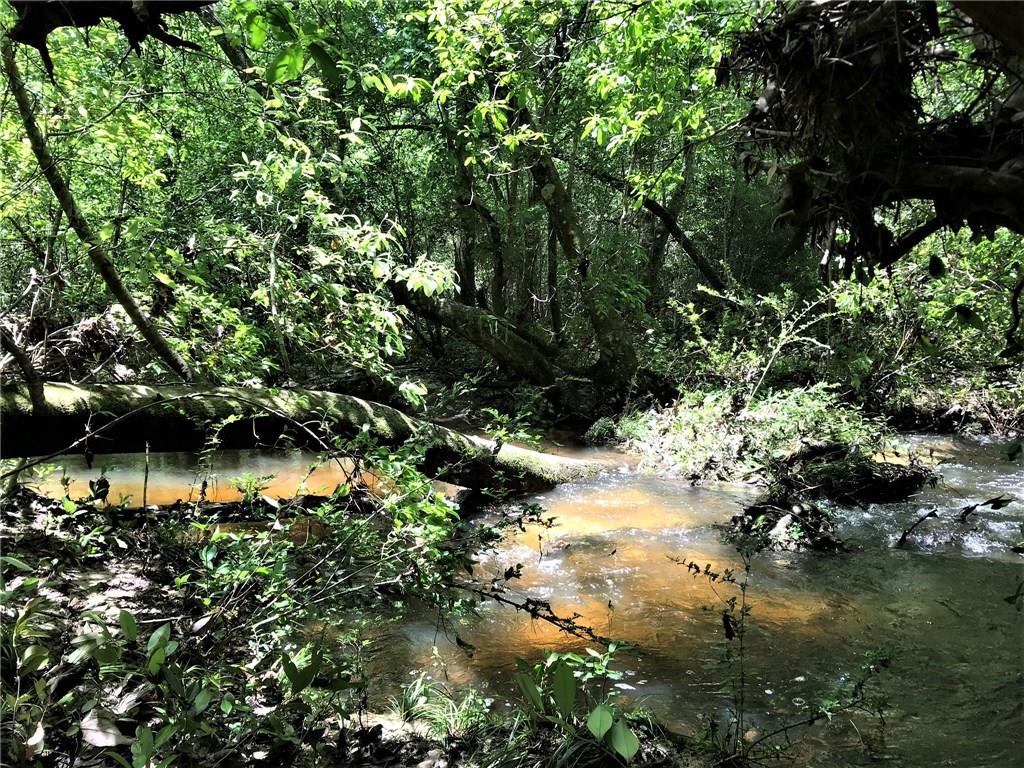 93 Acres Laverne Crain Road, Angie, Louisiana image 6