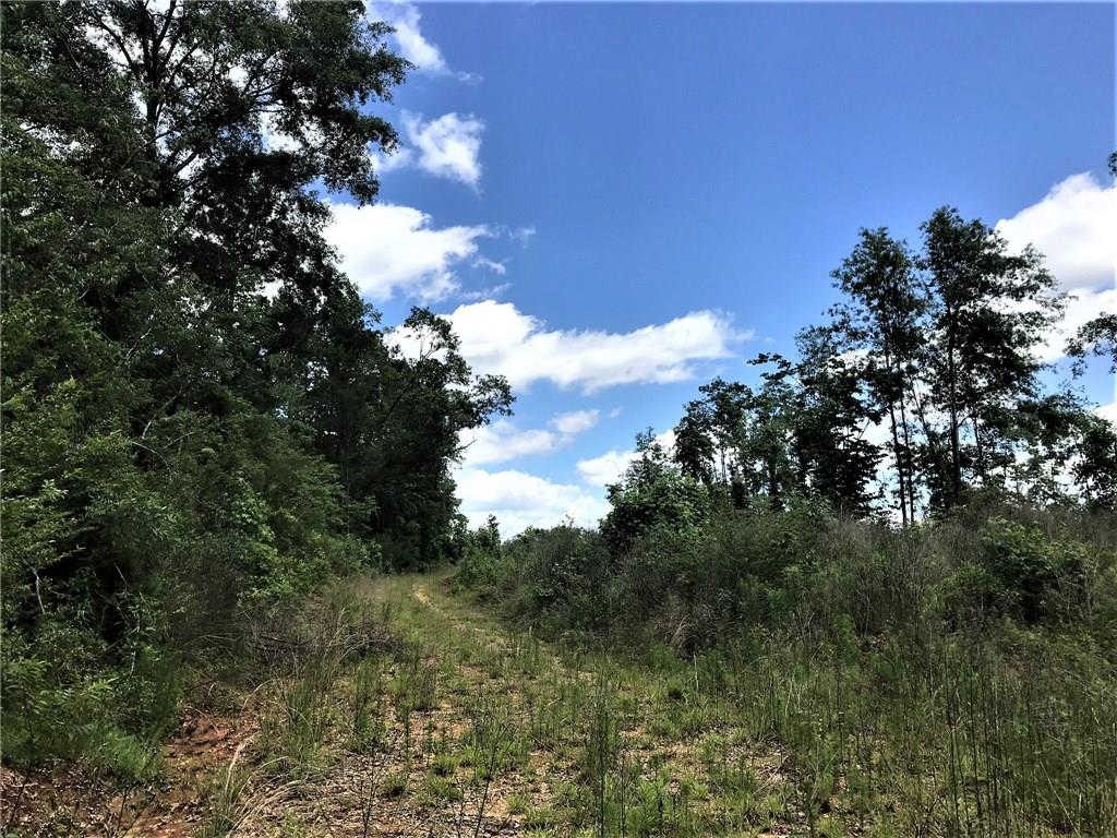 93 Acres Laverne Crain Road, Angie, Louisiana image 8