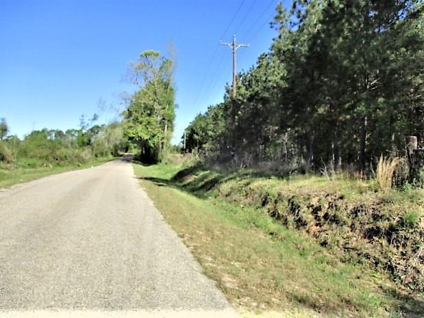 202 Acres Prison Road, Angie, Louisiana image 2