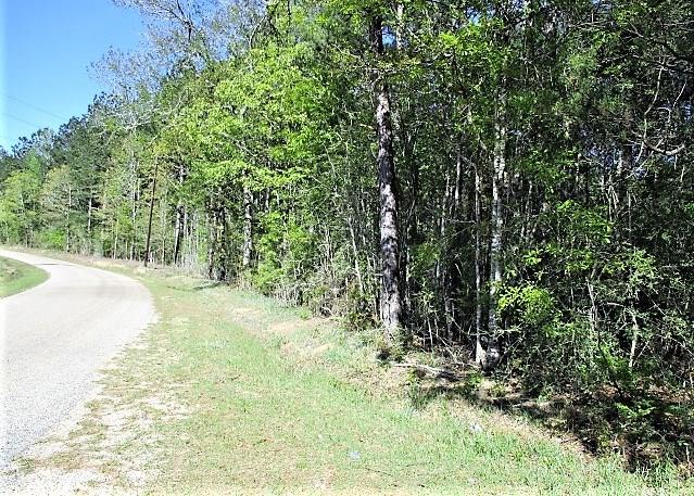 202 Acres Prison Road, Angie, Louisiana image 3