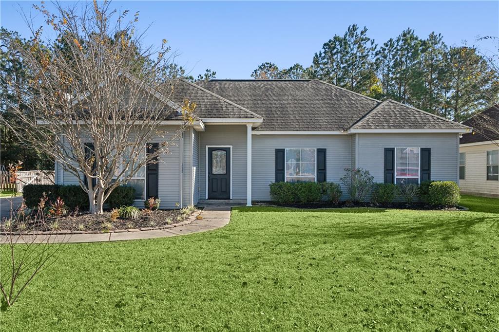 41579 Snowball Circle, Ponchatoula, Louisiana image 14