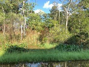 Bonfouca Drive, Slidell, Louisiana image 1