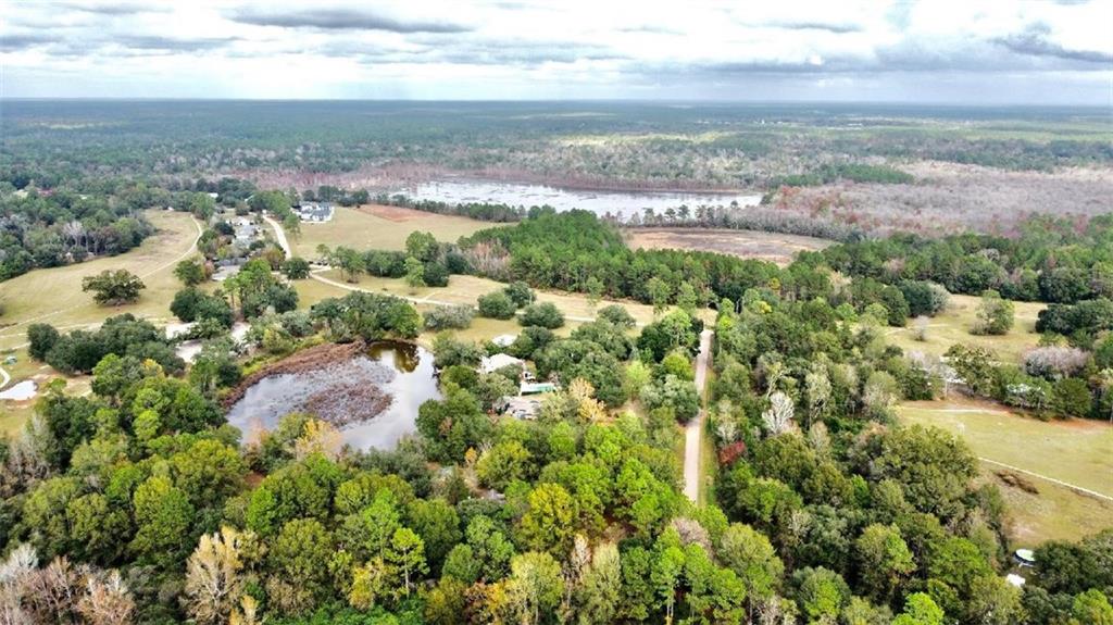 Quimet Drive, Abita Springs, Louisiana image 1