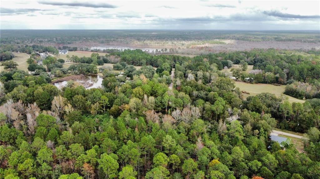 Quimet Drive, Abita Springs, Louisiana image 3