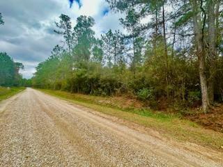 Quimet Drive, Abita Springs, Louisiana image 6