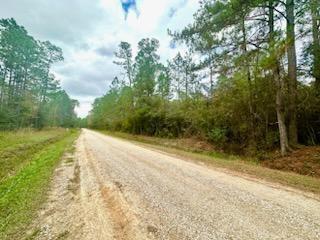 Quimet Drive, Abita Springs, Louisiana image 7