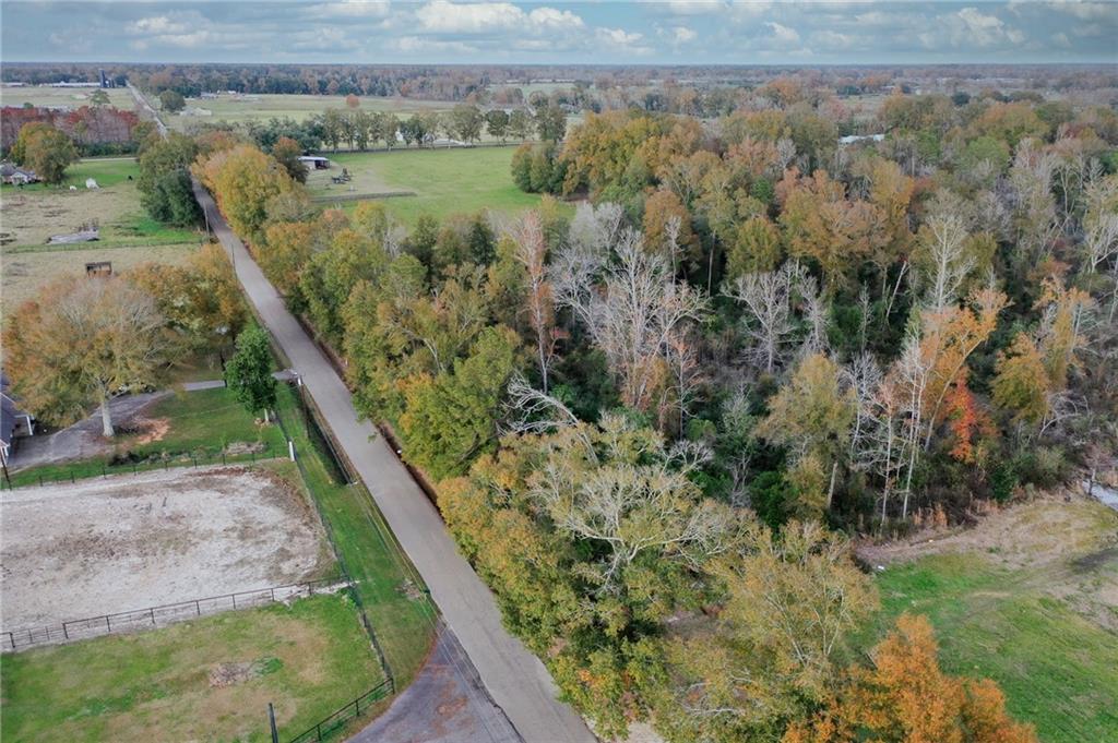 Parcel 2-C Simmons Road, Loranger, Louisiana image 11