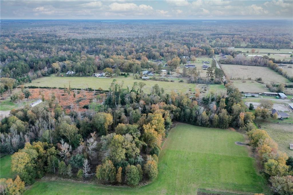 Parcel 2-C Simmons Road, Loranger, Louisiana image 9