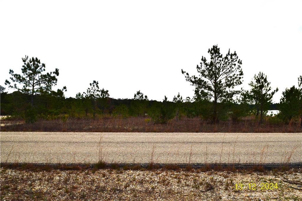 Lot 75 Shore Drive, Franklinton, Louisiana image 1