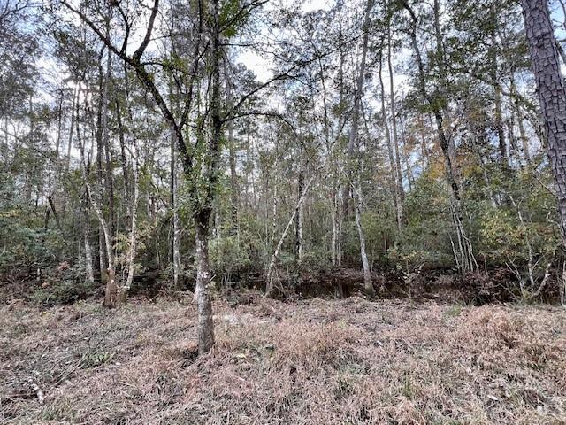 13619 Crabapple Lane, Franklinton, Louisiana image 5