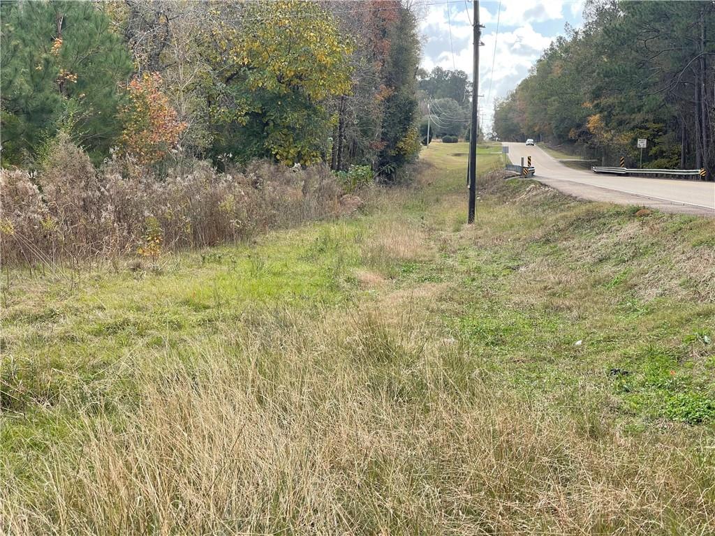 Highway 450, Folsom, Louisiana image 6
