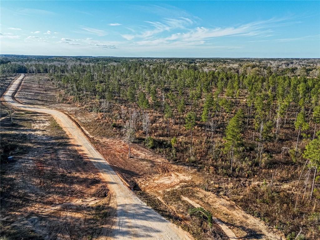 Lot 4 Highway 10 Highway, Franklinton, Louisiana image 9