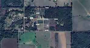 31.24 Acres Charles Mcdaniel Road, Kentwood, Louisiana image 2