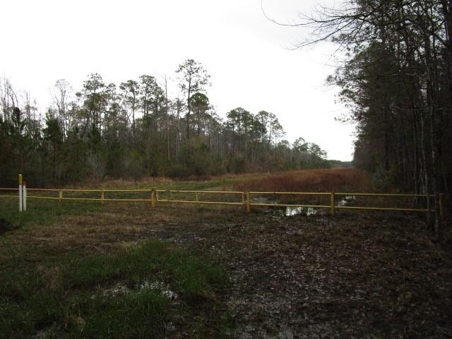 Sticker Bay Road, Lacombe, Louisiana image 7