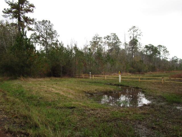 Sticker Bay Road, Lacombe, Louisiana image 8