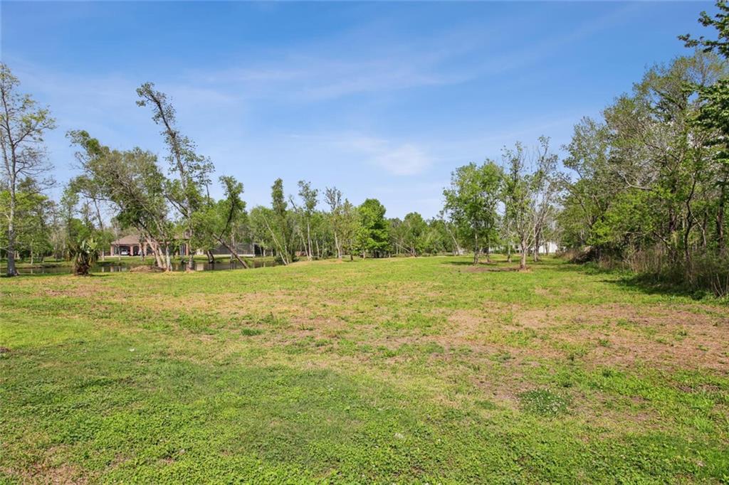 54 Arbor Circle, New Orleans, Louisiana image 4