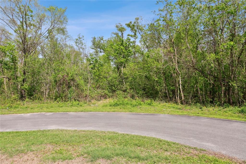 40 Arbor Lane, New Orleans, Louisiana image 7