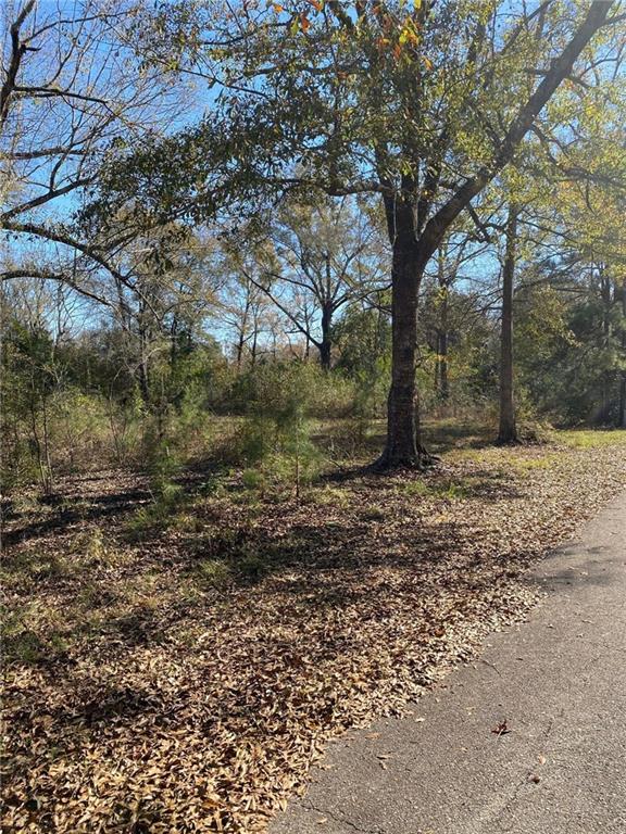 630 Avenue L Avenue, Bogalusa, Louisiana image 1