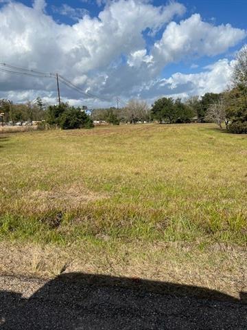 TBD Airport Road, Hammond, Louisiana image 3