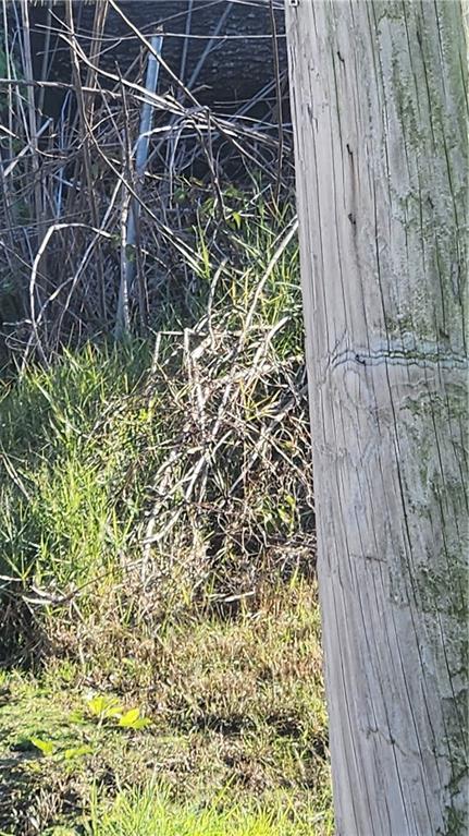 Sharpe Road, Marrero, Louisiana image 4