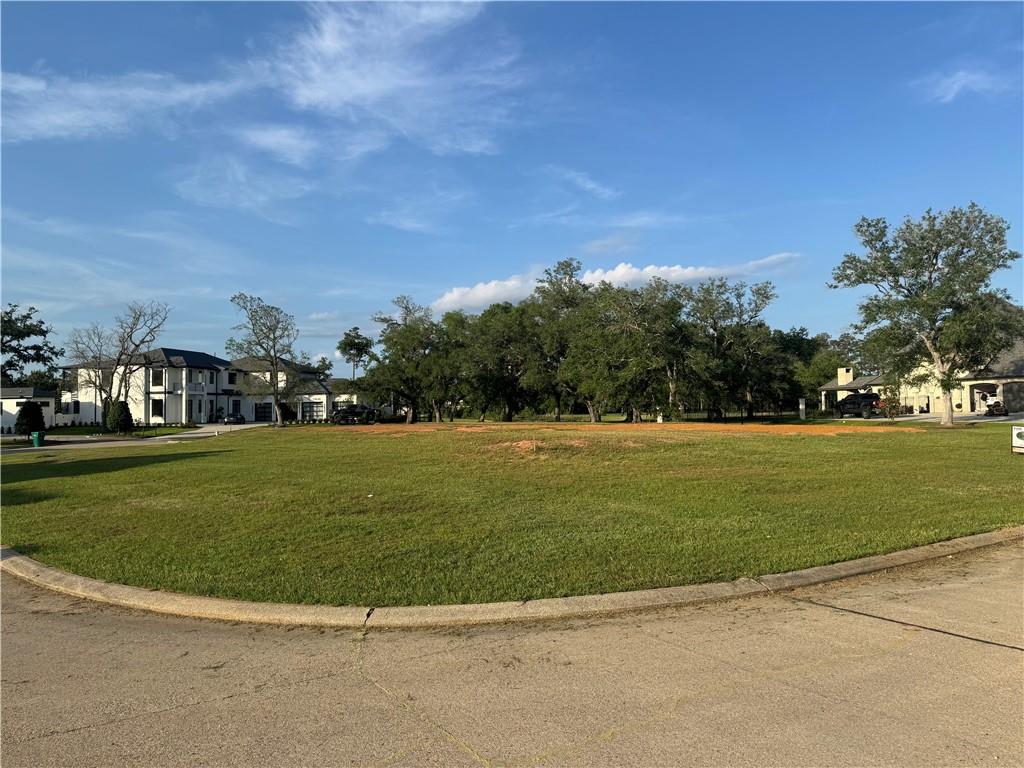 24100 Snowy Egret Cove, Springfield, Louisiana image 1