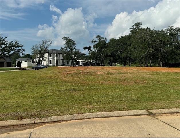 24100 Snowy Egret Cove, Springfield, Louisiana image 3