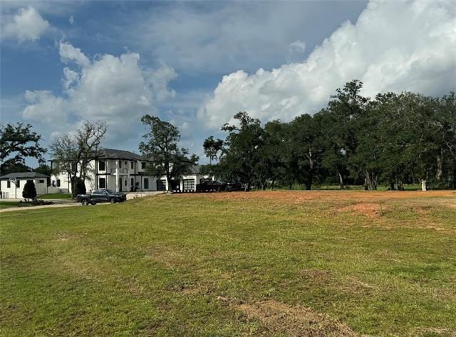 24100 Snowy Egret Cove, Springfield, Louisiana image 4