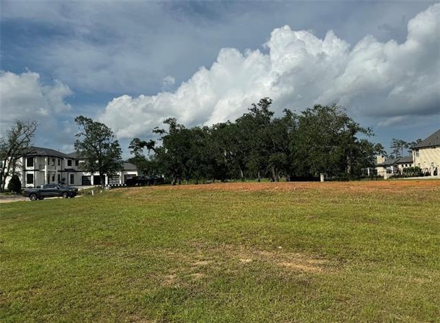 24100 Snowy Egret Cove, Springfield, Louisiana image 5