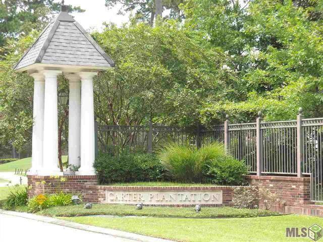 24100 Snowy Egret Cove, Springfield, Louisiana image 6