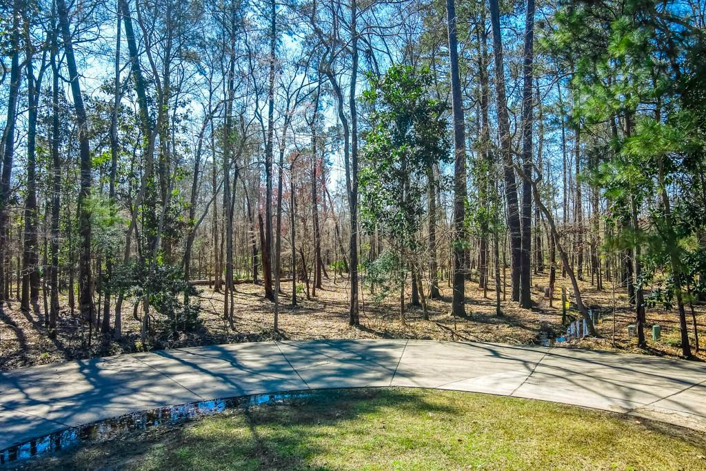 2 Tupelo Trace, Mandeville, Louisiana image 1