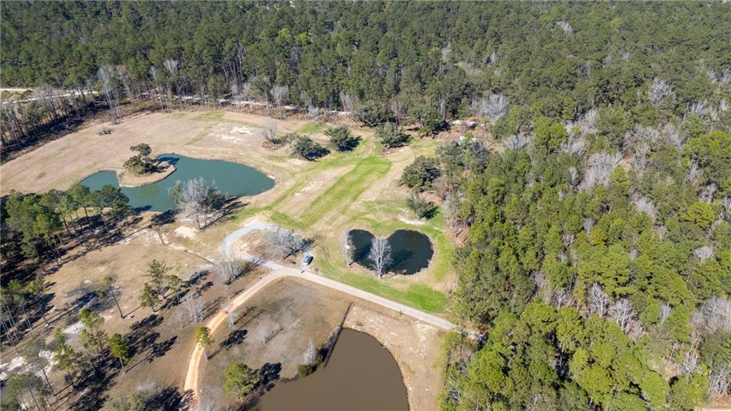 Rucker Road, Madisonville, Louisiana image 2