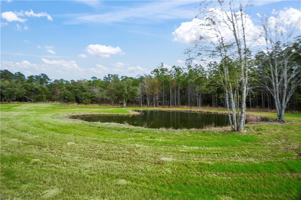 Rucker Road, Madisonville, Louisiana image 7