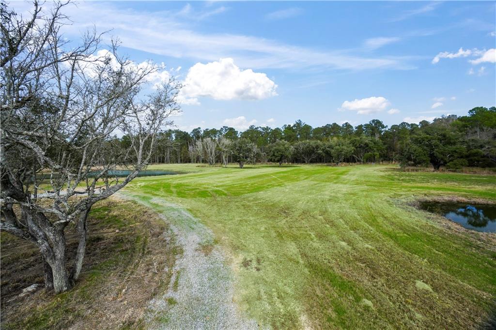 Rucker Road, Madisonville, Louisiana image 9