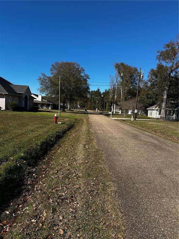 TBD Lato Lane, Hammond, Louisiana image 3