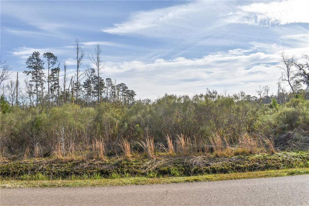 Old Genessee Road, Tickfaw, Louisiana image 1