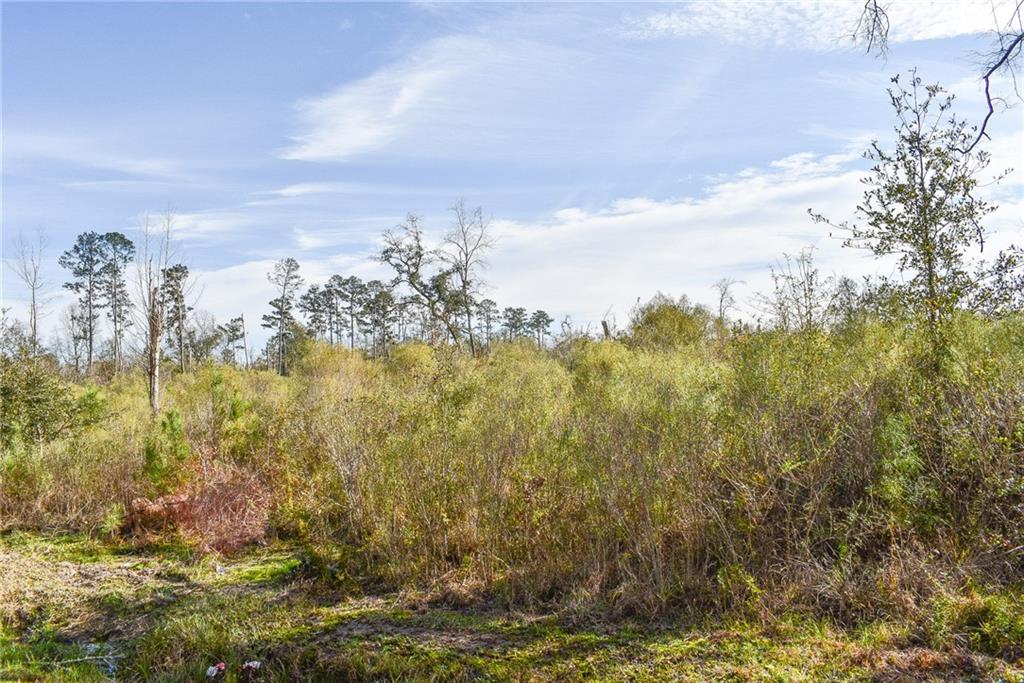 Old Genessee Road, Tickfaw, Louisiana image 1