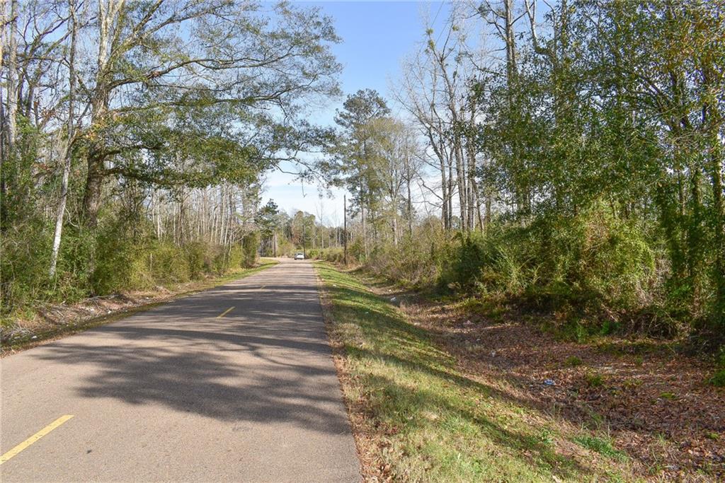 Old Genessee Road, Tickfaw, Louisiana image 2