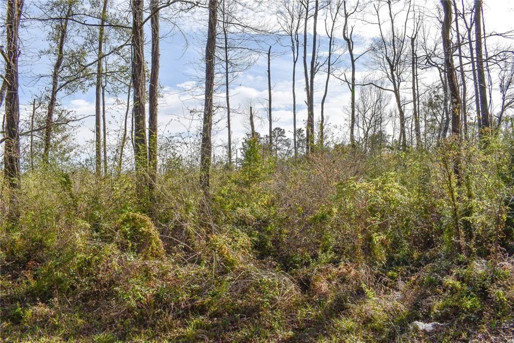 Old Genessee Road, Tickfaw, Louisiana image 1