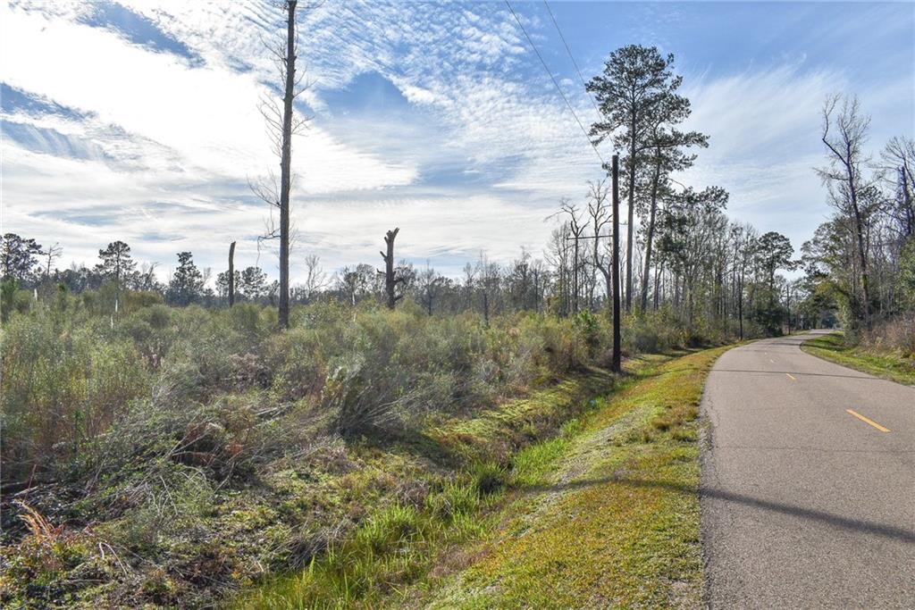 Old Genessee Road, Tickfaw, Louisiana image 3