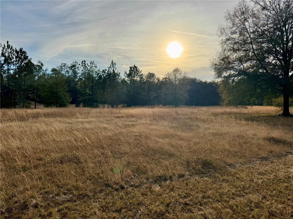 63499 Fish Hatchery Road, Lacombe, Louisiana image 3