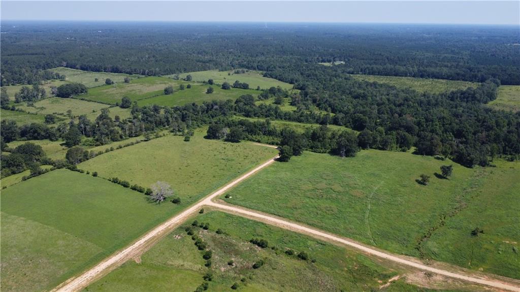 Lot F-1 Core Place, Amite, Louisiana image 1