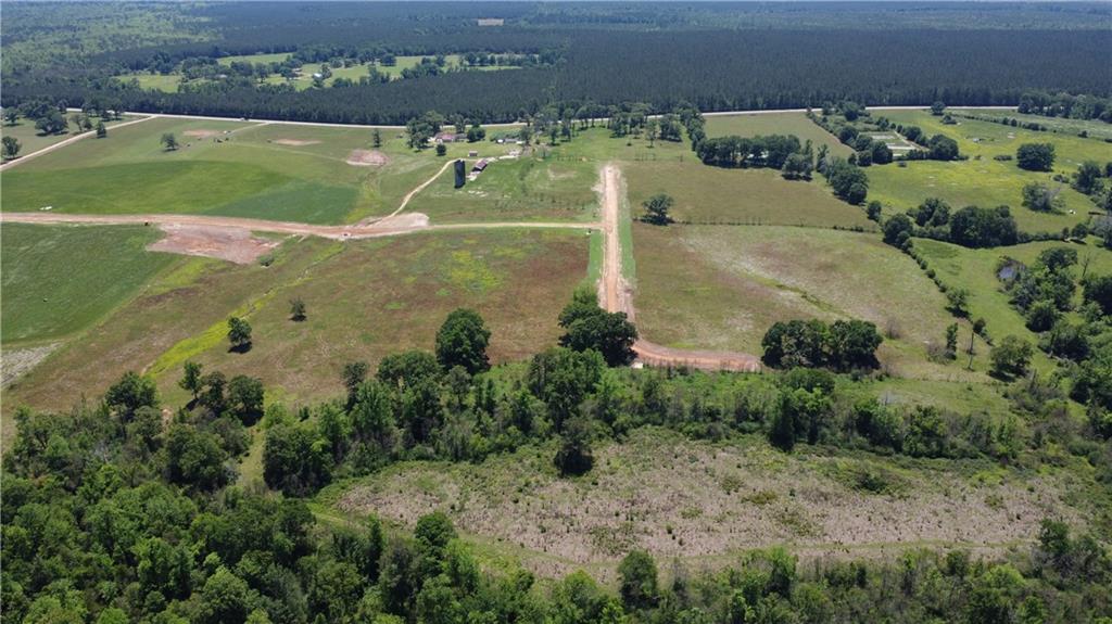 Lot F-1 Core Place, Amite, Louisiana image 4